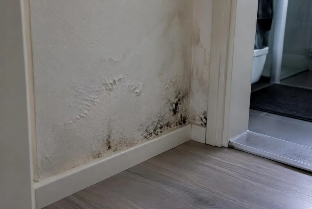 Lekdetectie Maartensdijk – vochtplek met schimmel op een muur